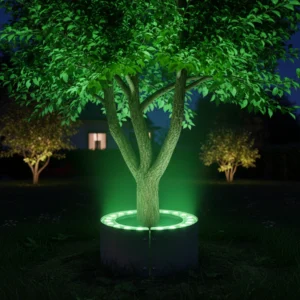 طقم كشافين خارجيين لإضاءة الأشجار — دائريان، لون الإضاءة أخضر، قطر داخلي 21 سم، قطر كلي 29 سم، قدرة 48 واط