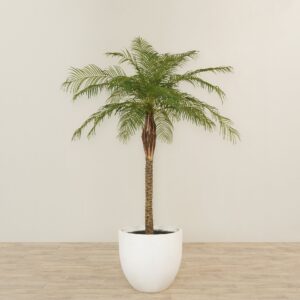 نخلة فينيكس صناعية بارتفاع 210 سم