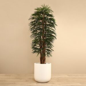 نخلة رافيس اصطناعية بارتفاع 210 سم