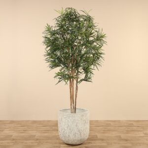 شجرة دراسينا ريفليكسا اصطناعية ارتفاع 210 سم