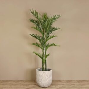 نخلة أريكا اصطناعية بارتفاع 225 سم