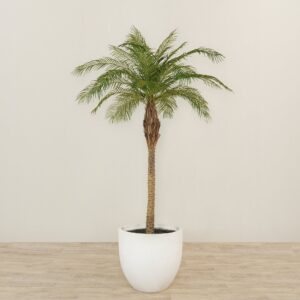 نخلة فينيكس صناعية بارتفاع 240 سم