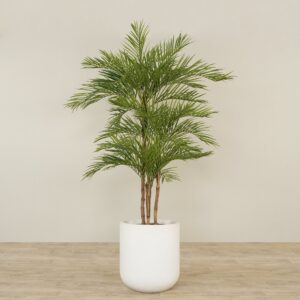 نخلة أريكا اصطناعية ارتفاع 240 سم