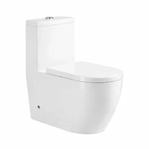 Halfer One-Piece Western Toilet — 25cm Drainage Hole — White