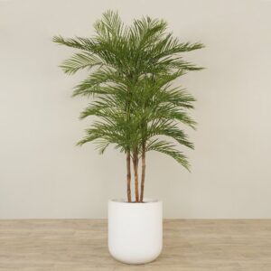 نخلة أريكا صناعية ارتفاع 260 سم