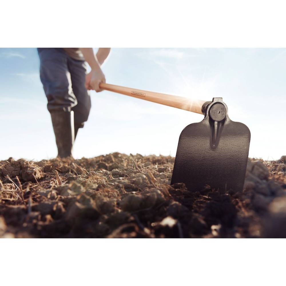 Shovel measuring 261×205 mm with a Brazilian wood handle