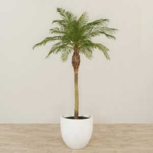 نخلة فينيكس اصطناعية بارتفاع 270 سم