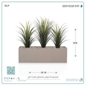 صبار اصطناعي بقاعدة فيبر مستطيلة — 3 فروع