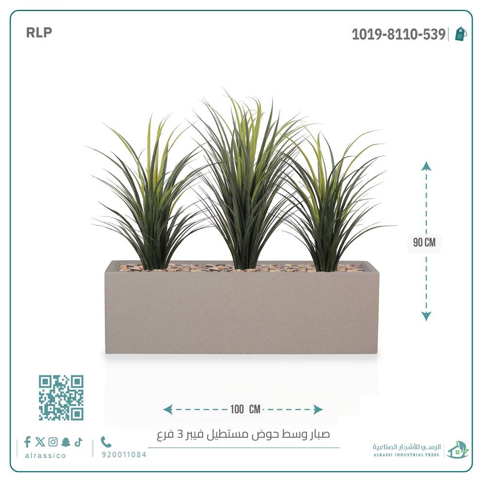 صبار اصطناعي بقاعدة فيبر مستطيلة — 3 فروع