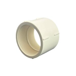 جلبة السن الداخلية 3