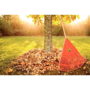 مجرفة بلاستيكية بحواف منحنية — حجم كبير 30 سم