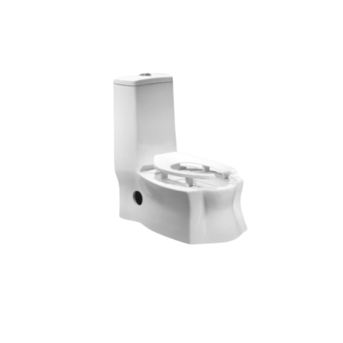 كرسي حمام أرضي ثنائي الوضع (عربي/أفرنجي) - أبيض - 30 سم