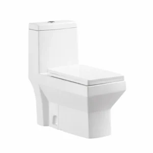 Halfer Western Toilet Seat with 30cm Floor Drain — White