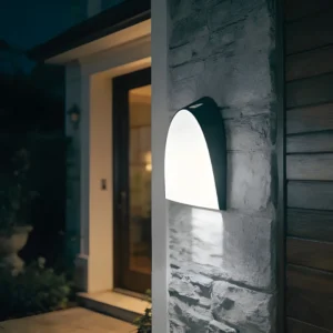 كشاف بوابة 30 واط — غطاء أسود، ضوء أبيض