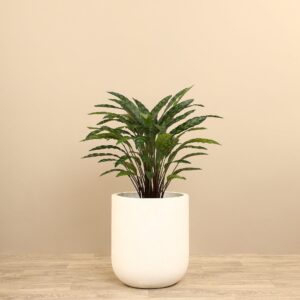 نبات كالاثيا صناعي ارتفاع 60 سم