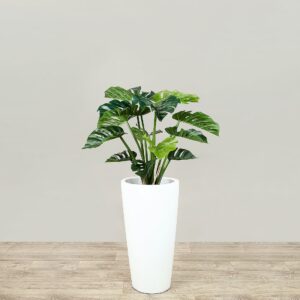 مونستيرا صناعية بارتفاع 60 سم