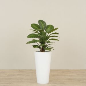 نبات كالاثيا صناعي بارتفاع 60 سم