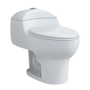 French toilet 634 white – elegantly finished toilets for home use