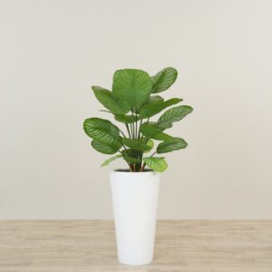 نبات كالاتيا صناعي بارتفاع 70 سم