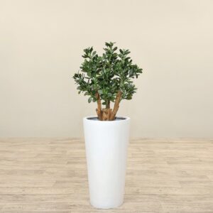 نبات اليشم الصناعي بطول 70 سم