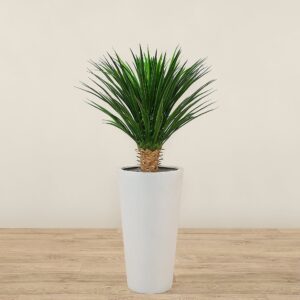 نبات يوكا اصطناعي بارتفاع 75 سم