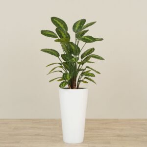 نبات كالاتيا اصطناعي بارتفاع 75 سم