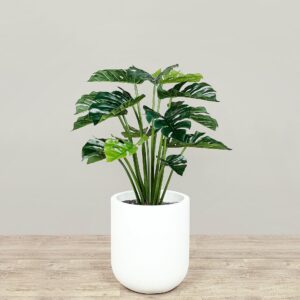 مونستيرا صناعية بارتفاع 80 سم