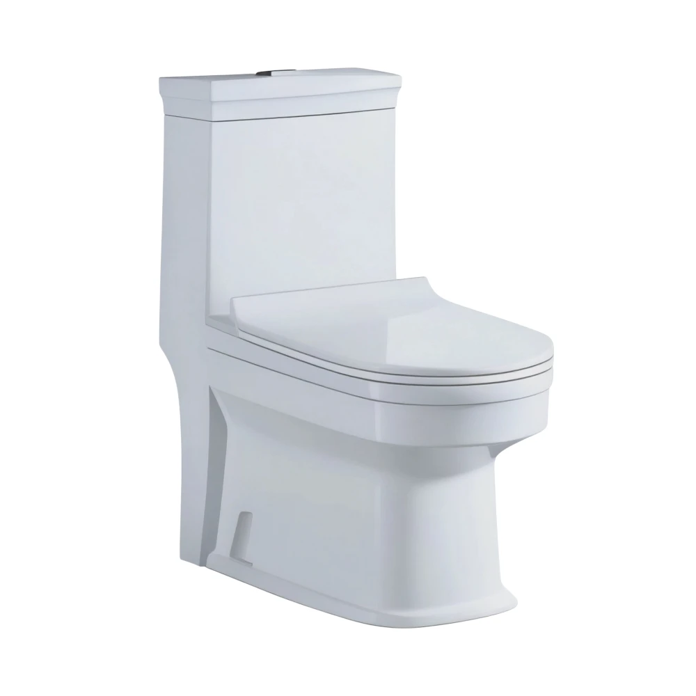 French toilet 872 — Pure white | Toilet with a simple design and practical use