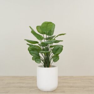 شجرة كالاثيا اصطناعية بارتفاع 90 سم