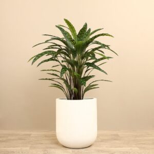 شجرة كالاتيا اصطناعية بارتفاع 90 سم