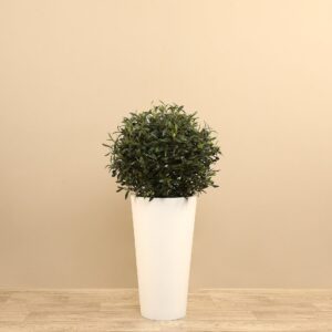 شجرة زيتون صناعية بارتفاع 90 سم