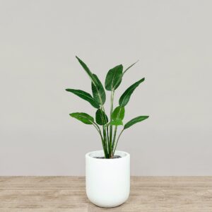 نبات طائر الجنة الاصطناعي بارتفاع 90 سم