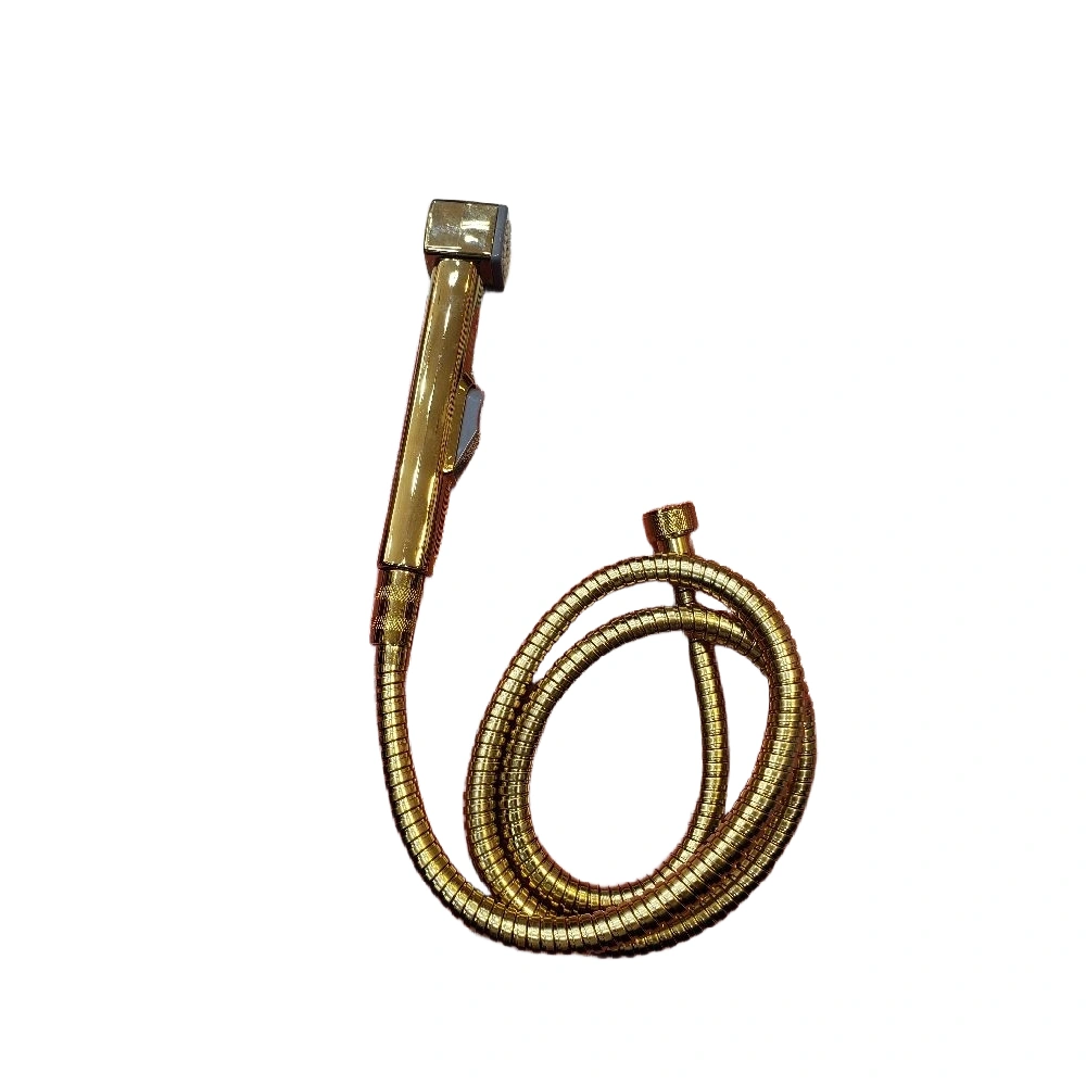 طقم دش Bavly ذهبي مع سماعة يدوية، خرطوم وحامل جداري