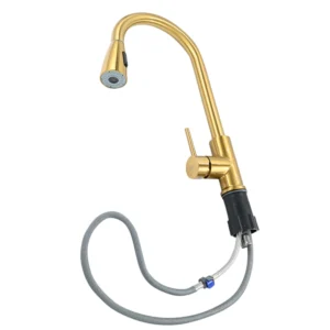 خلاط مطبخ Lugo باللون الذهبي مع رأس قابل للسحب ومقبض جانبي