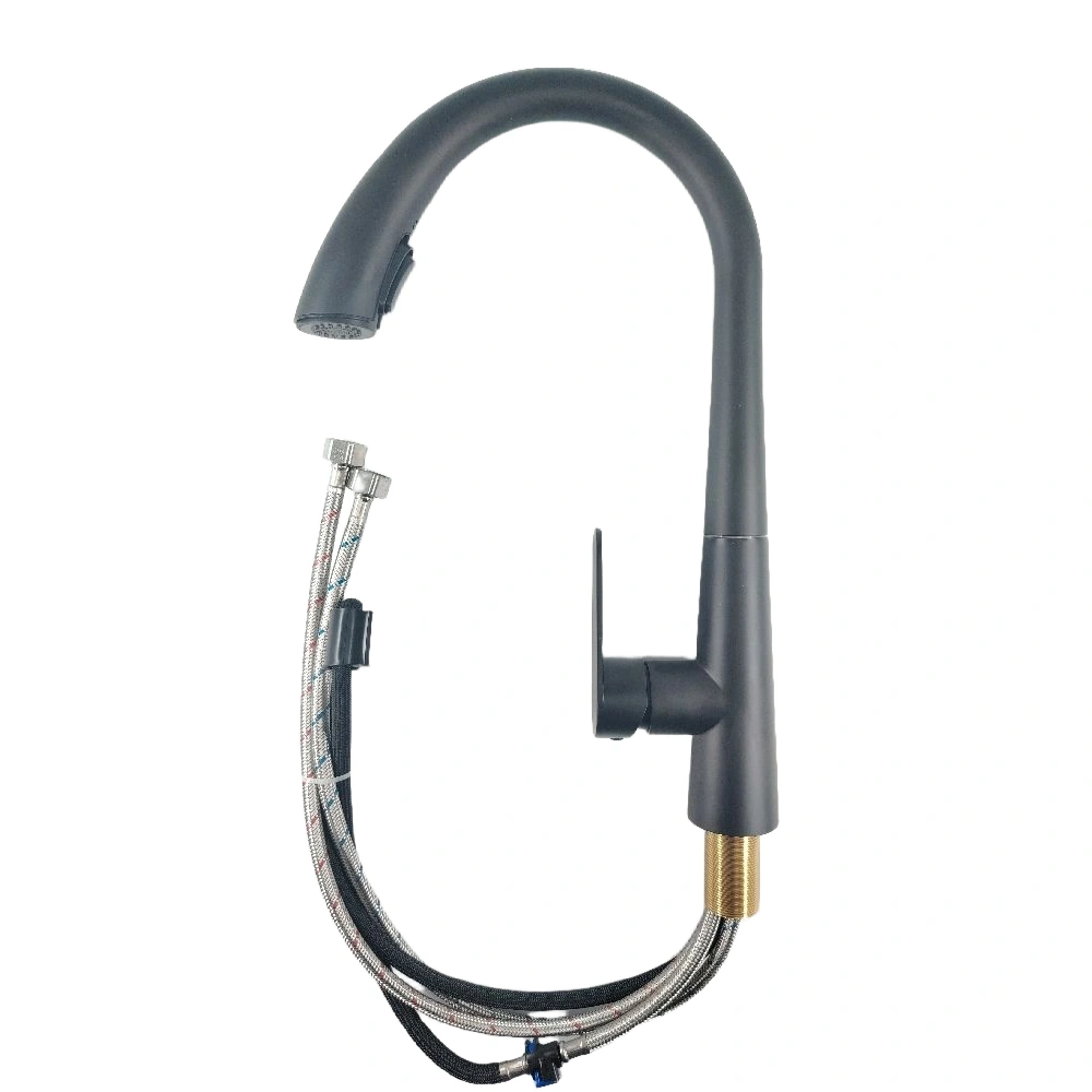 خلاط حوض مطبخ أسود بمقبض واحد مع صمام سيراميكي وتشطيب أسود مطفي — OKYANUS