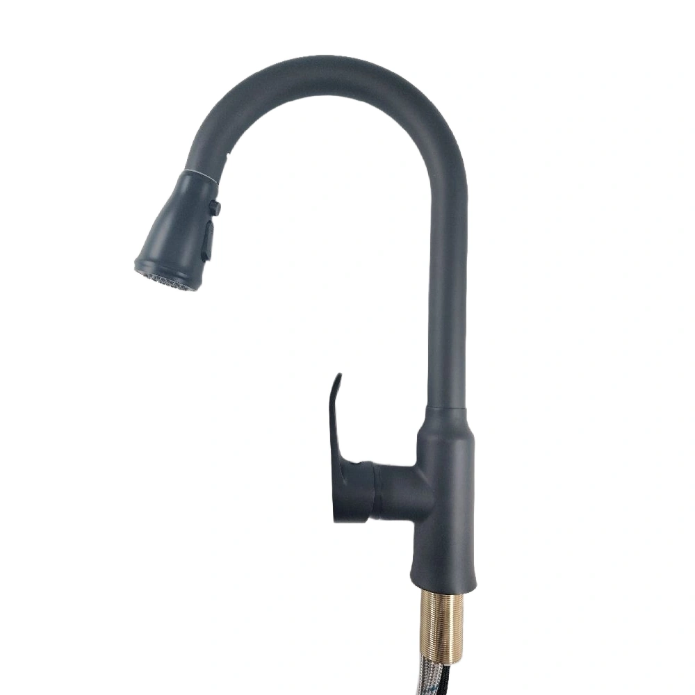 خلاط مطبخ بخرطوم مرن قابل للسحب — ذراع واحدة، تشطيب أسود مطفي | OKYANUS
