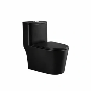 Halver One-Piece Toilet, Black — S-Trap Drain Hole 25 cm