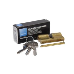 قلب ماستر كي TESA ذهبي 30×30 مم (موديل 5)