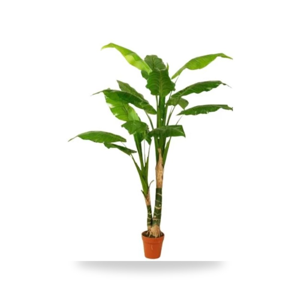 اشجار صناعيه اخضر موديل 045-341