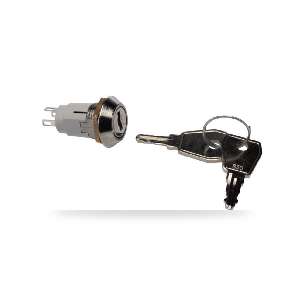 مفتاح تشغيل بمفتاح أمان لوحات طراز G RS PRO ريمكو للتوريدات الصناعية (Reemco Industrial)