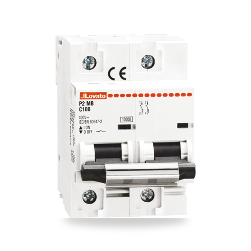 قاطع تيار أوتوماتيكي MCB ثنائي 125A منحنى C ريمكو للتوريدات الصناعية (Reemco Industrial)