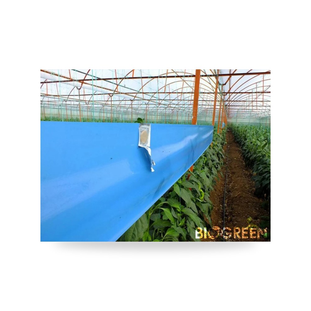 مصائد لاصقة زرقاء 100 30 سم آل طالب للري والزراعة (Altaleb Agri)