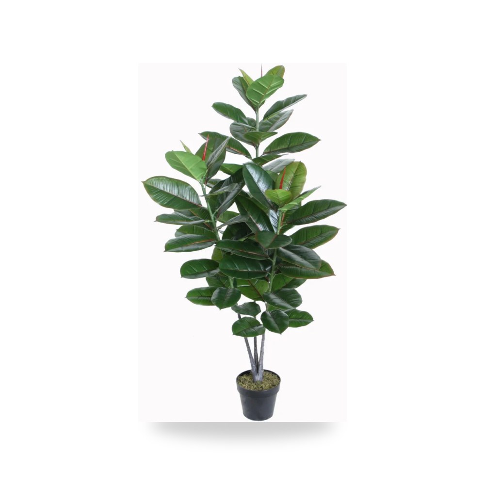 نبات صناعي مطاط طول 130 سم مع الحوض PL167 آل آل طالب للري والزراعة (Altaleb Agri) موديل