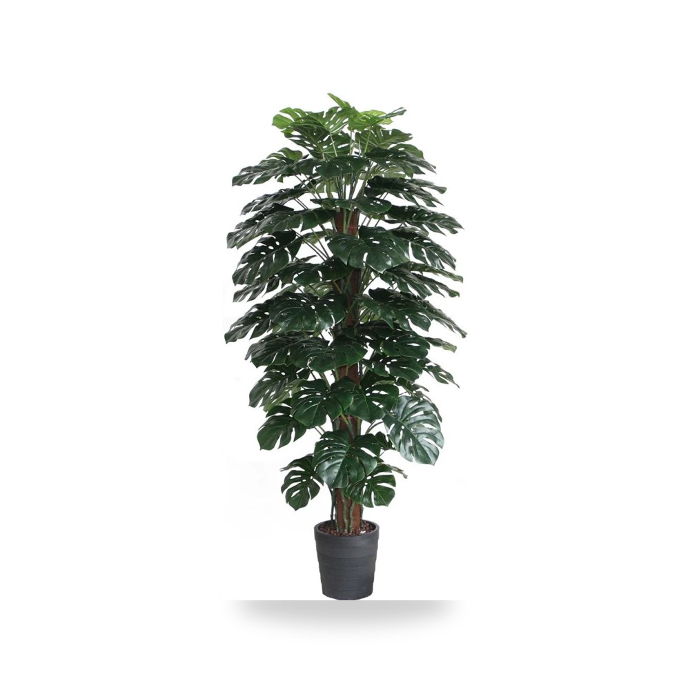 نبات صناعي مونستيرا طول 180 سم مع الحوض PL175 آل طالب للري والزراعة (Altaleb Agri)