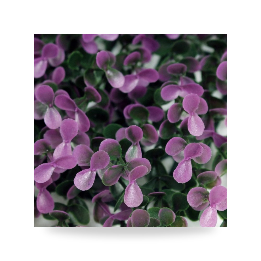 عشب جداري بنفسجي 50*50 سم آل طالب للري والزراعة (Altaleb Agri) موديل
