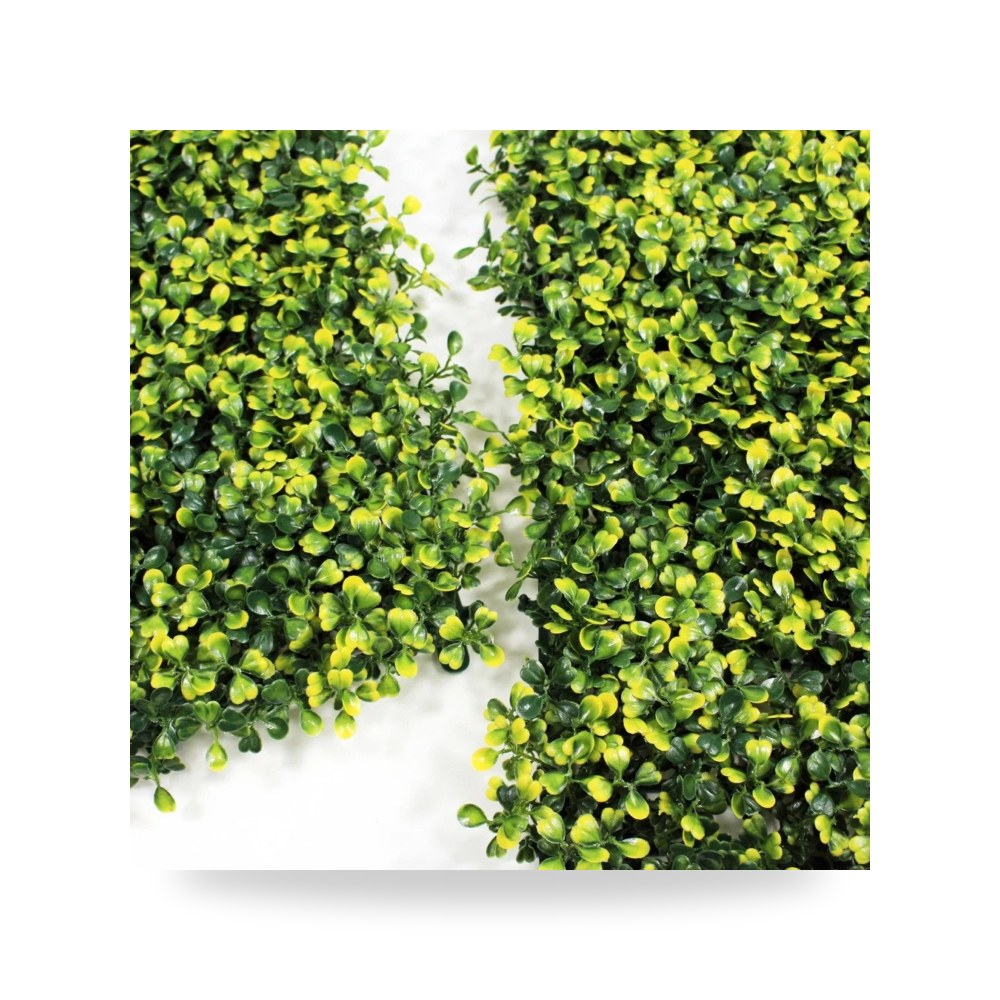 عشب جداري كلاسيك أصفر 50*50 سم آل طالب للري والزراعة (Altaleb Agri) موديل