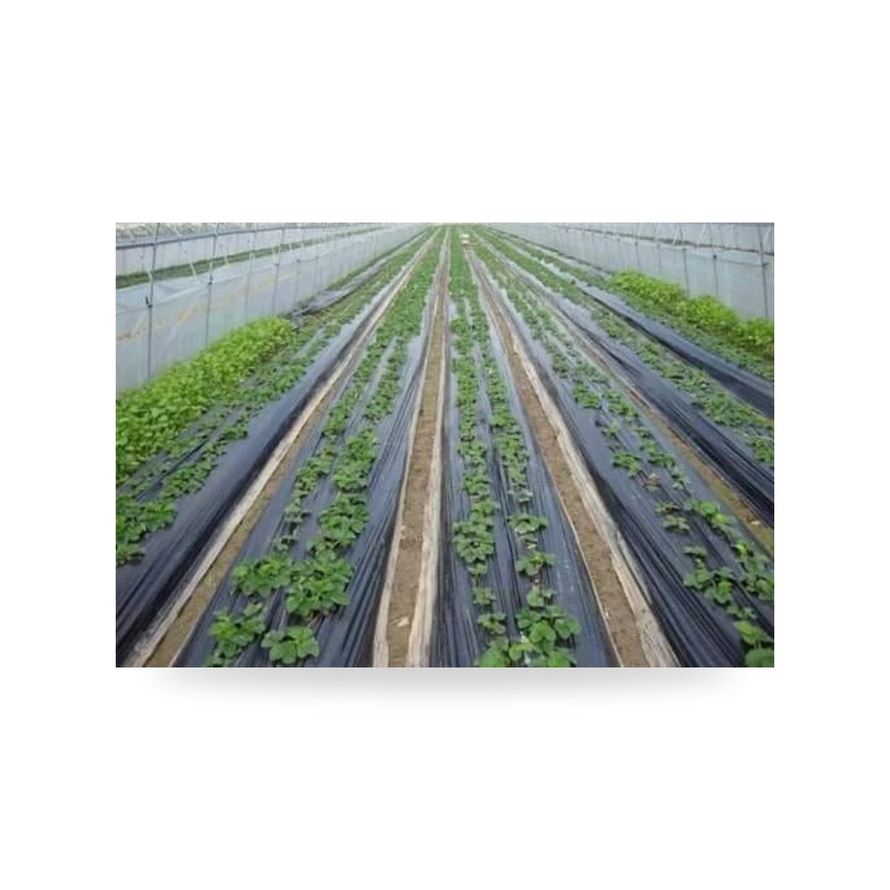 ملش أسود طول 500 متر عرض 90 سم 45 مايكرون آل آل طالب للري والزراعة (Altaleb Agri) موديل