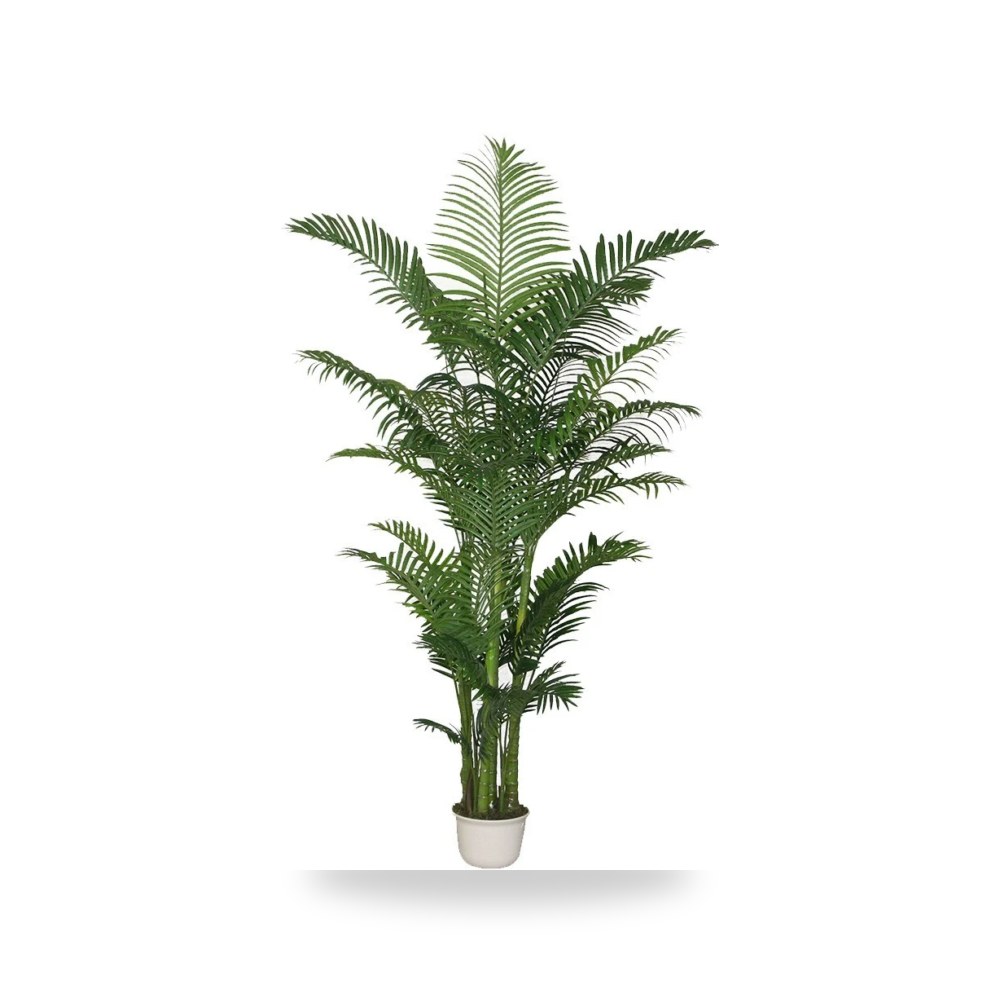 نخيل مروحي طول 180 سم مع الحوض PL150 آل طالب للري والزراعة (Altaleb Agri)