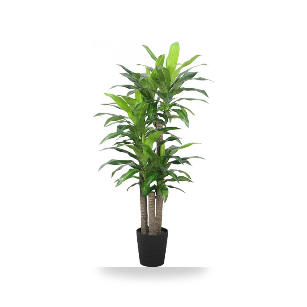 دارسينا ماسنجانا طول 150 سم مع الحوض PL155 آل آل طالب للري والزراعة (Altaleb Agri) موديل