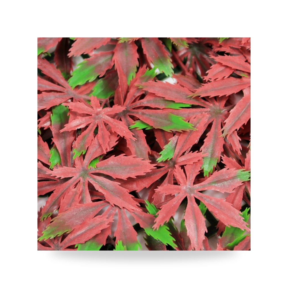عشب جداري فينوس 50* 50 سم آل طالب للري والزراعة (Altaleb Agri) موديل